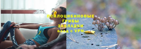 прущие крисы Алексеевка